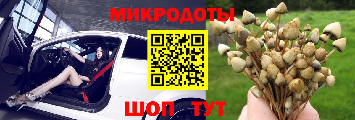 Псилоцибиновые грибы прущие грибы Ирбит